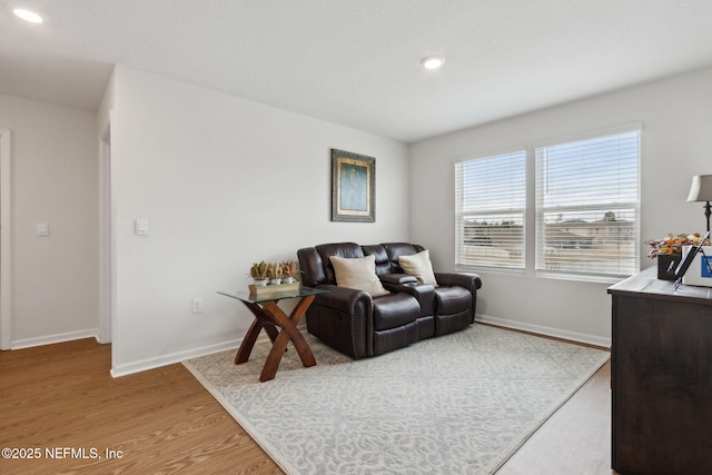 living room with hardwood / wood-style floors