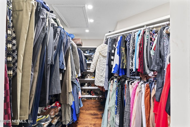 walk in closet with wood-type flooring