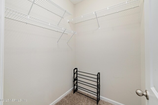 spacious closet with carpet