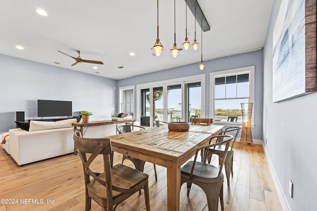 dining room featuring ceiling fan and light hardwood / wood-style flooring