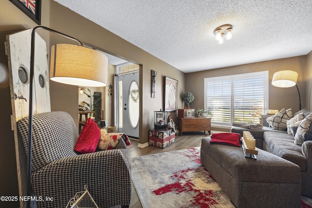 living room with hardwood / wood-style floors and a textured ceiling