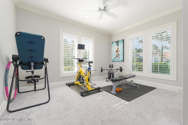 exercise area featuring carpet floors, baseboards, ornamental molding, and ceiling fan