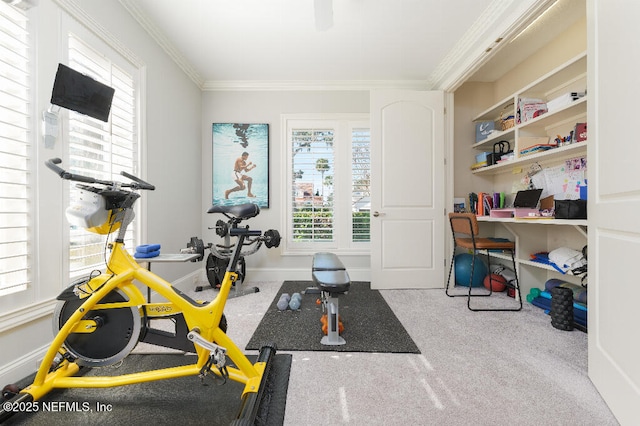 exercise room featuring baseboards and ornamental molding