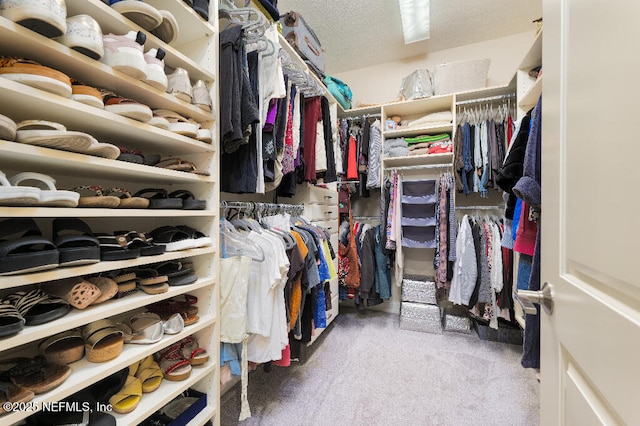 walk in closet with carpet