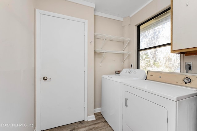 clothes washing area with washing machine and clothes dryer and light hardwood / wood-style flooring