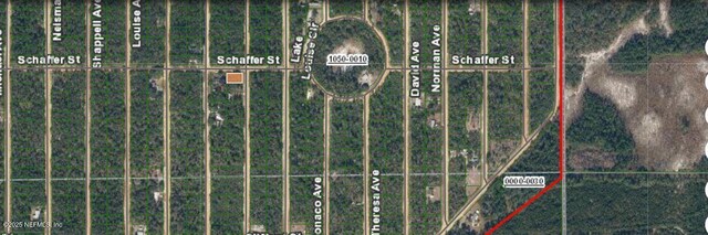 Listing photo 2 for 00000000 Neilsen Ave, Interlachen FL 32148