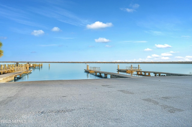 dock area with a water view