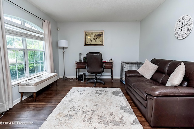 office featuring dark hardwood / wood-style floors and a textured ceiling