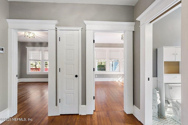 hallway with dark wood-type flooring