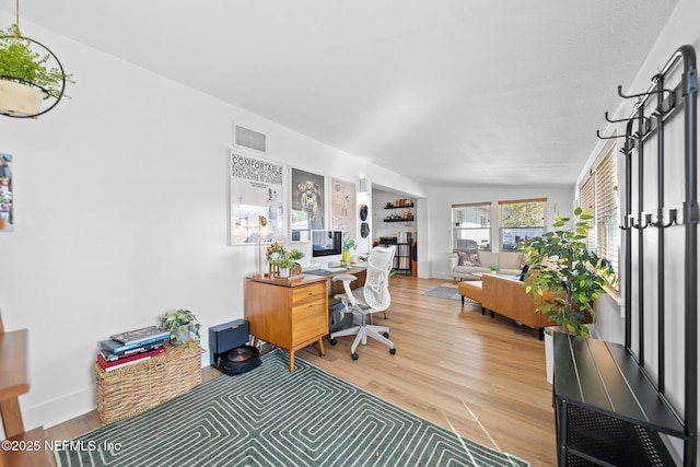 office featuring wood-type flooring