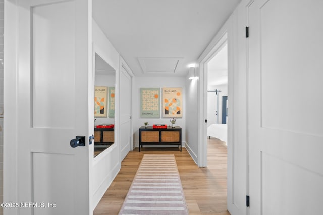 hallway featuring light hardwood / wood-style flooring