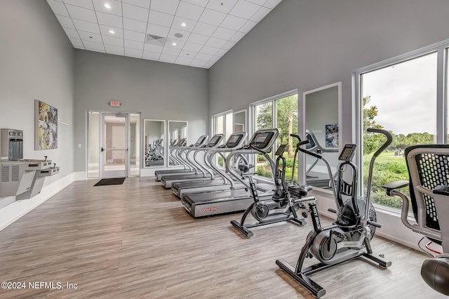 exercise room with a towering ceiling, a healthy amount of sunlight, and light hardwood / wood-style floors