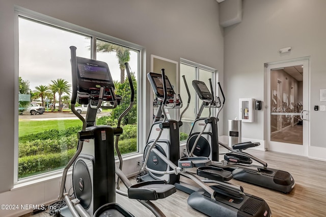 workout area featuring hardwood / wood-style floors and a healthy amount of sunlight