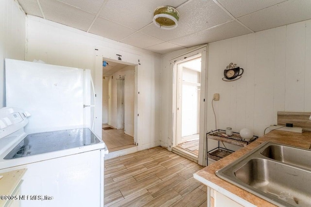 kitchen with sink, a paneled ceiling, white appliances, and light hardwood / wood-style flooring