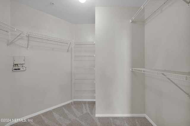 spacious closet featuring light colored carpet