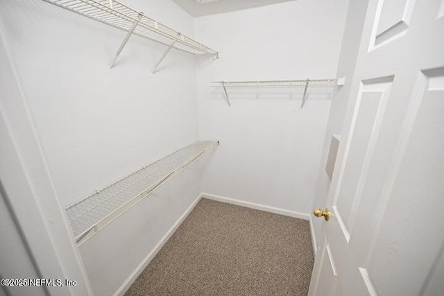 spacious closet with carpet floors