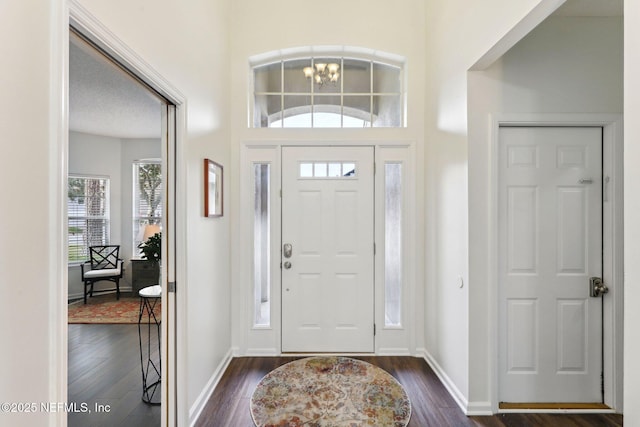 foyer entrance featuring dark wood-type flooring