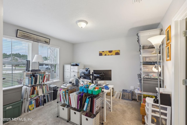 view of carpeted office