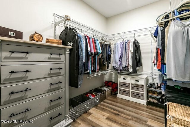 spacious closet featuring hardwood / wood-style floors