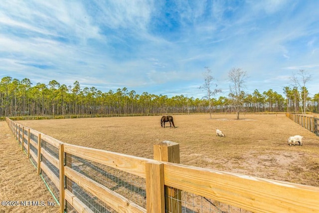 view of yard featuring a rural view