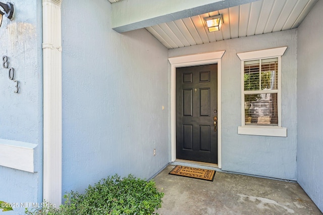 803 S Black Cherry Dr, Saint Johns, FL 32259 - photo 33