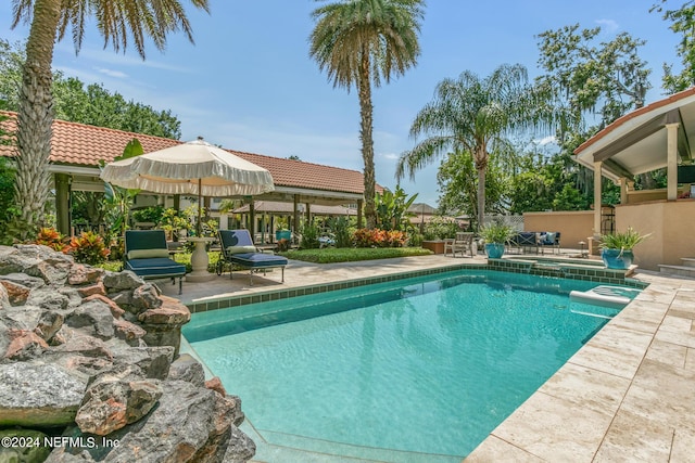 view of swimming pool with a patio area