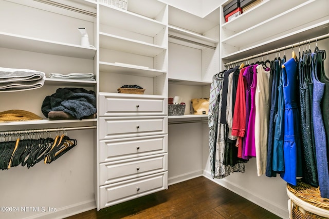 walk in closet with dark wood-type flooring