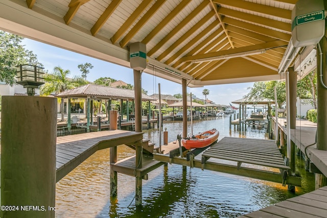 dock area with a water view