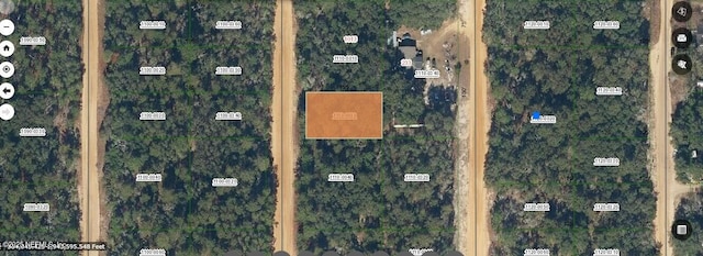 00 Louise, Interlachen FL, 32148 land for sale