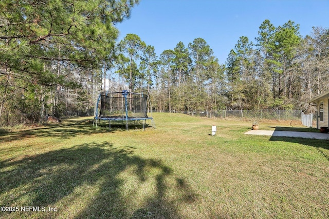 view of yard featuring a trampoline