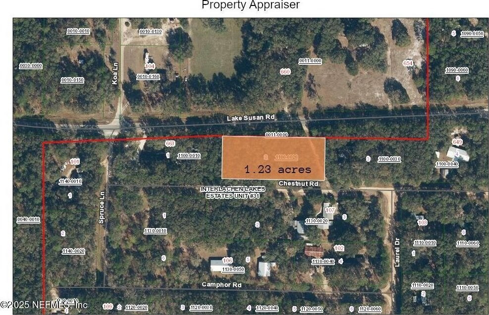 0 Chestnut Rd, Hawthorne, FL 32640 - photo 2