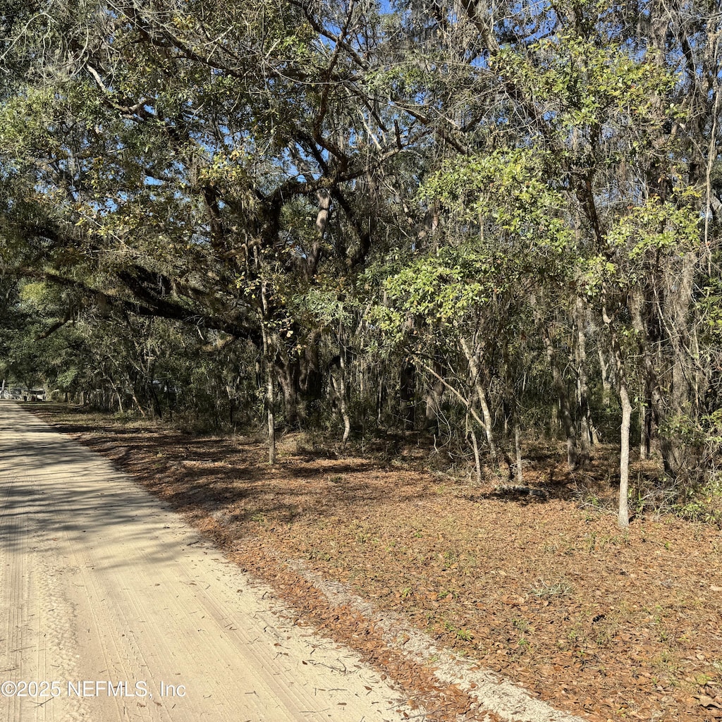 0 Chestnut Rd, Hawthorne, FL 32640 - photo 1