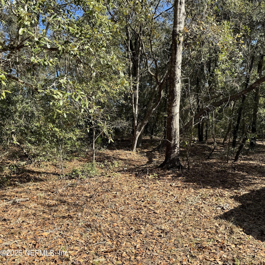 0 Chestnut Rd, Hawthorne, FL 32640 - photo 3