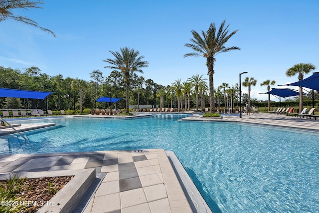 view of swimming pool featuring a patio area