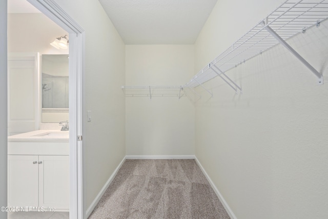 walk in closet featuring light colored carpet and a sink