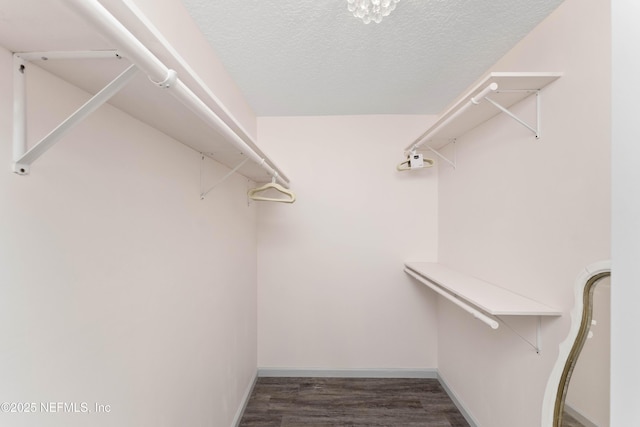 spacious closet featuring dark wood-type flooring