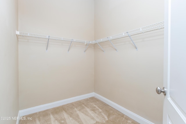 spacious closet with carpet flooring