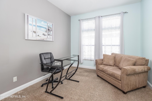 carpeted office space featuring a wealth of natural light