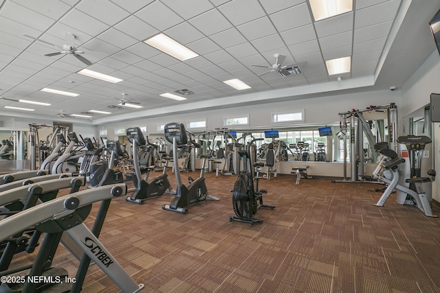 gym featuring carpet floors and ceiling fan