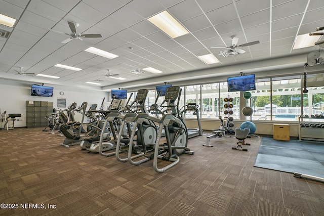 workout area featuring ceiling fan, a paneled ceiling, and carpet floors