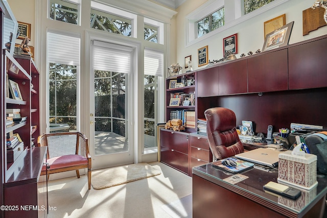 carpeted office with a towering ceiling