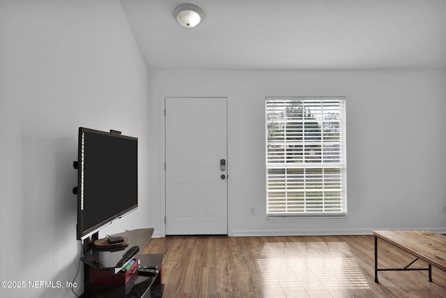 entryway with hardwood / wood-style flooring and a wealth of natural light