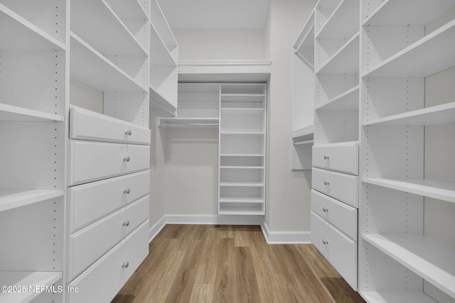 spacious closet featuring hardwood / wood-style flooring