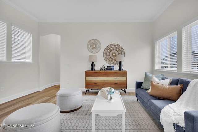 living room with crown molding and light hardwood / wood-style floors