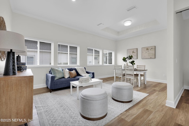 living room with light hardwood / wood-style floors and a raised ceiling