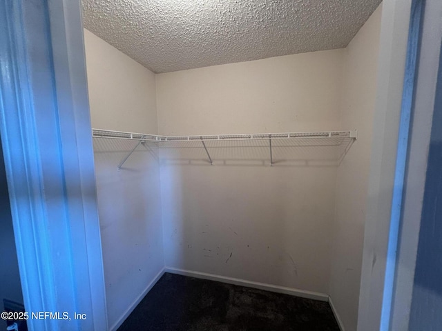 spacious closet with carpet floors