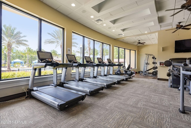 gym featuring carpet floors, ceiling fan, and a paneled ceiling