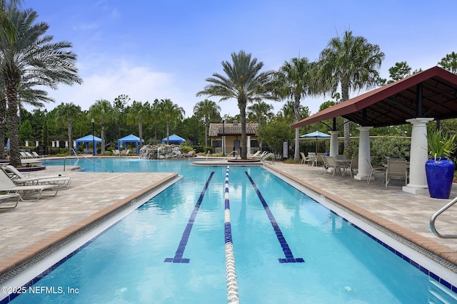 view of pool featuring a patio