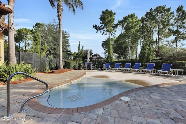 view of pool with a patio area