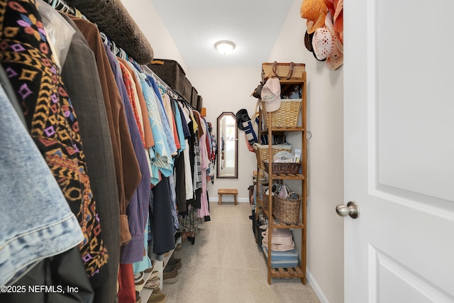 spacious closet with light colored carpet